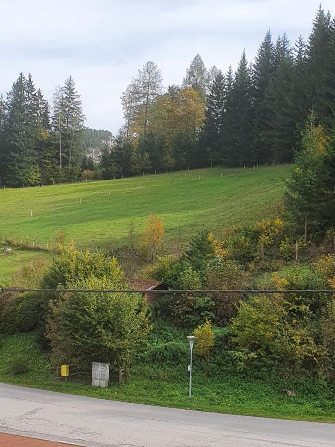 Gasthaus Blunzenwirt Leilighet Breitenstein Eksteriør bilde